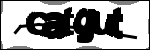 متن برای شناسایی